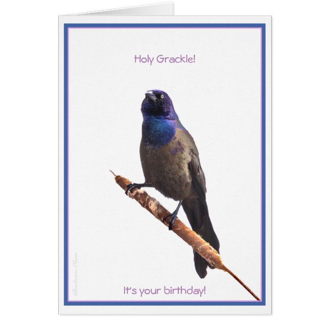 Holy Grackle! It's your Birthday: (Front)