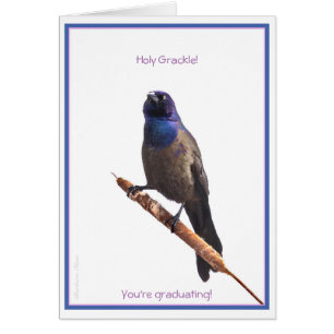 Holy Grackle! You're graduating: