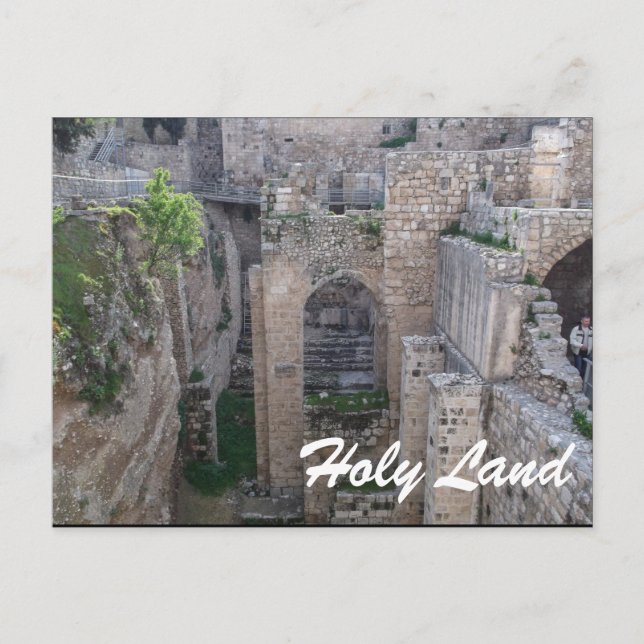 Holy Land-Israel Postcard (Front)