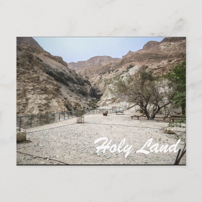 Holy Land-Israel Postcard (Front)