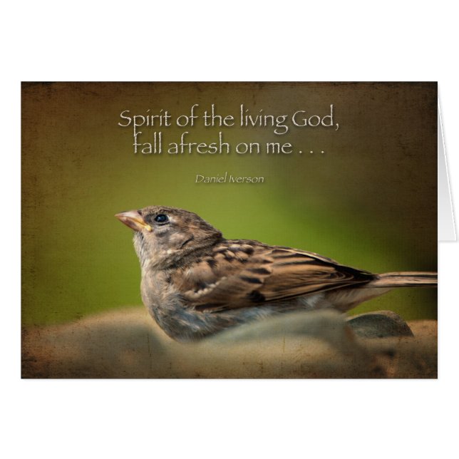 Holy Spirit fall afresh on me (Front Horizontal)