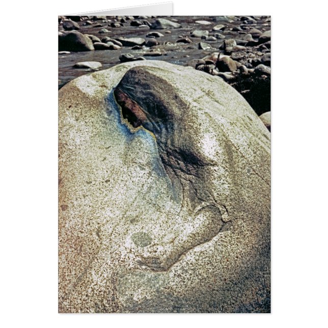 Homage to Andean Women/Folding Card (Front)