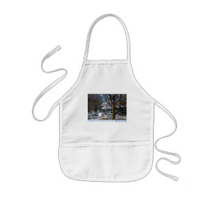 Home After the Snowstorm Kids Apron