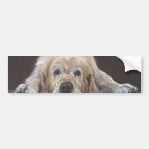 Home Alone Golden Retriever Bumper Sticker