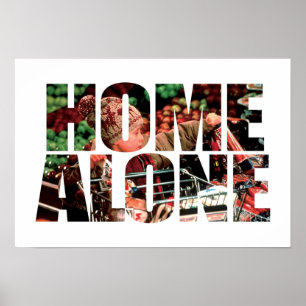 home alone poster