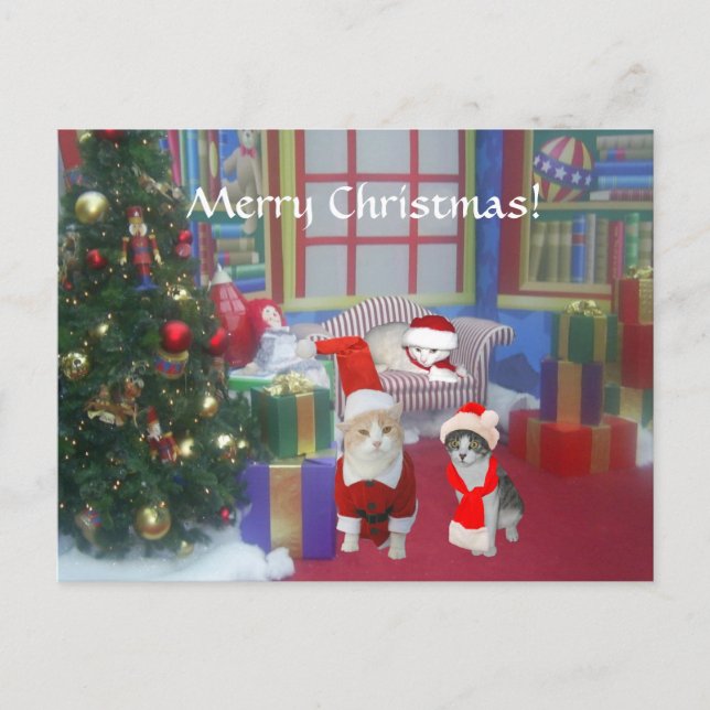 Home for the Holidays! Holiday Postcard (Front)