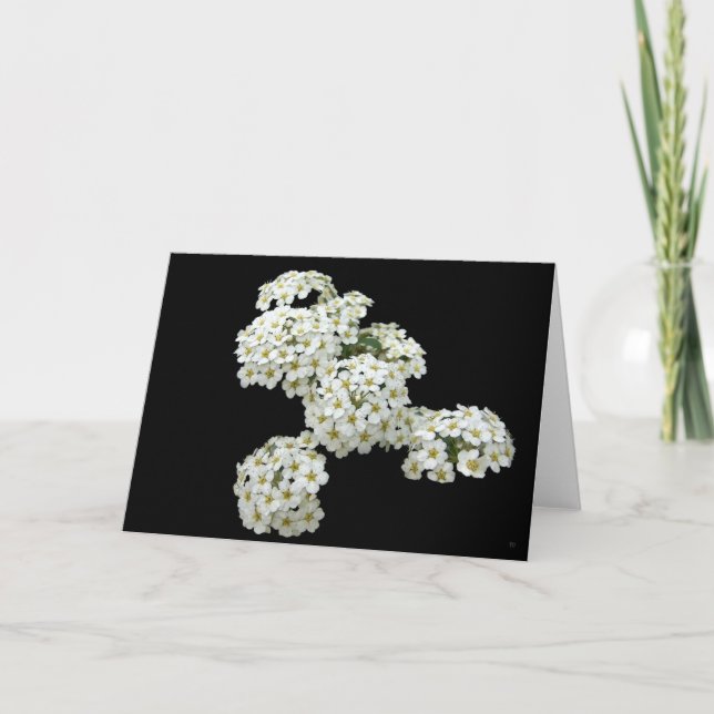 Home Grown White Floral Greeting Cards (Front)