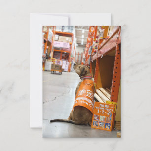 Home Improvement costume book Funny Dog Photo Card