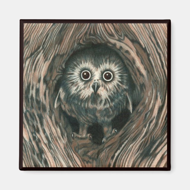 "Home in a Hole" Owl Magnet (Front)