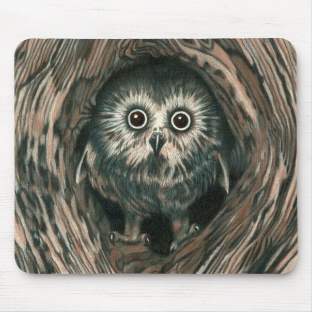 "Home In a Hole" Owl Mousepad (Front)