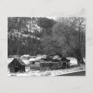 Home in the Ochocos Postcard