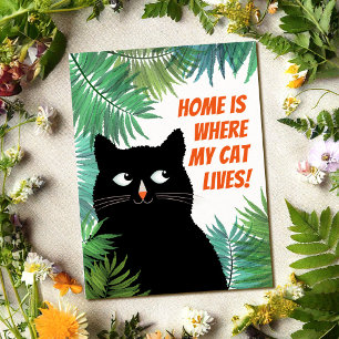 Home is where my cat lives moving announcement postcard