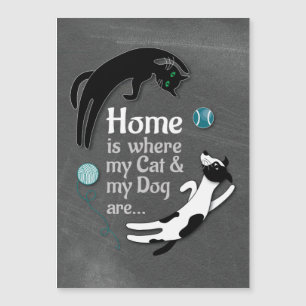 Home is where my Cat & my Dog are 