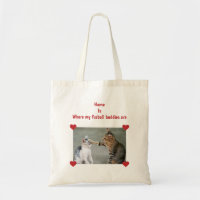 Home is where my furball buddies are | Cats Photo