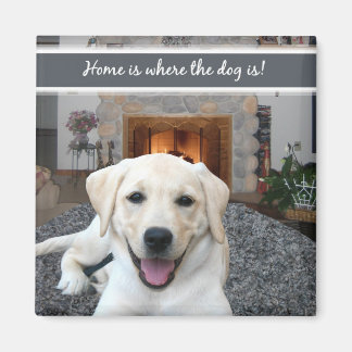 Home is where the dog is magnet