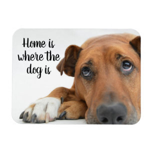 Home Is Where The Dog Is  Magnet