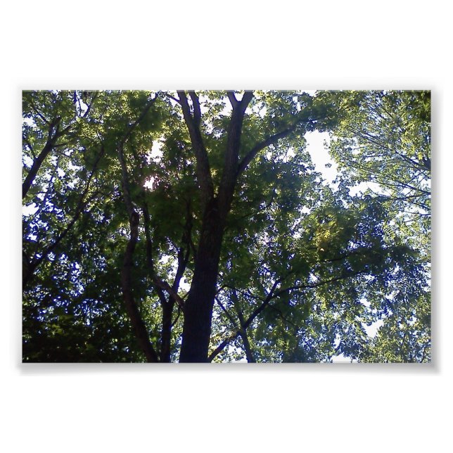 Home of Elves Photo Print (Front)