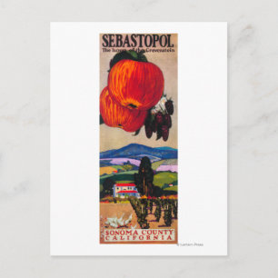 Home of the Gravenstein Poster Postcard