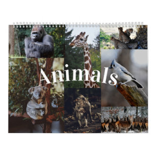 Home/Office Wall Calendar Animal Calendar