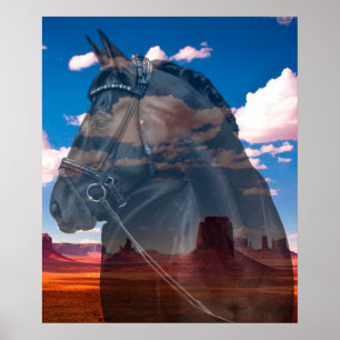 Home on the Range Poster