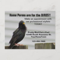 Home Perm Salon Mailer