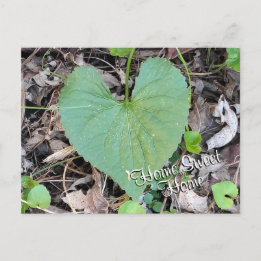 HOME SWEET HOME dynamic leaf photo | Postcard