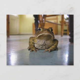 Home toad postcard