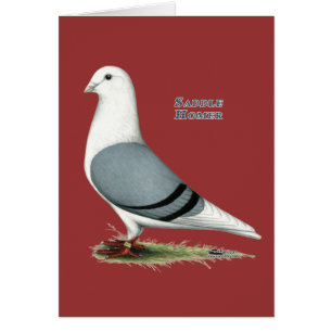 Homer Blue Saddle