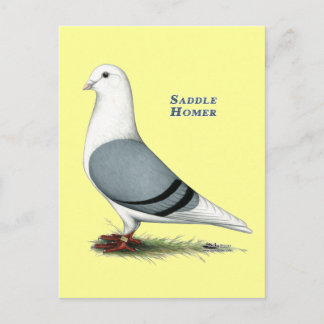 Homer Blue Saddle Postcard