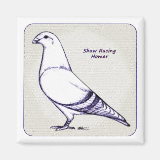 Homer Design Magnet