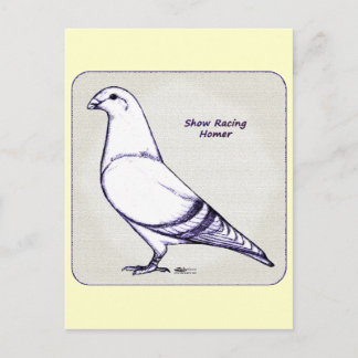 Homer Design Postcard
