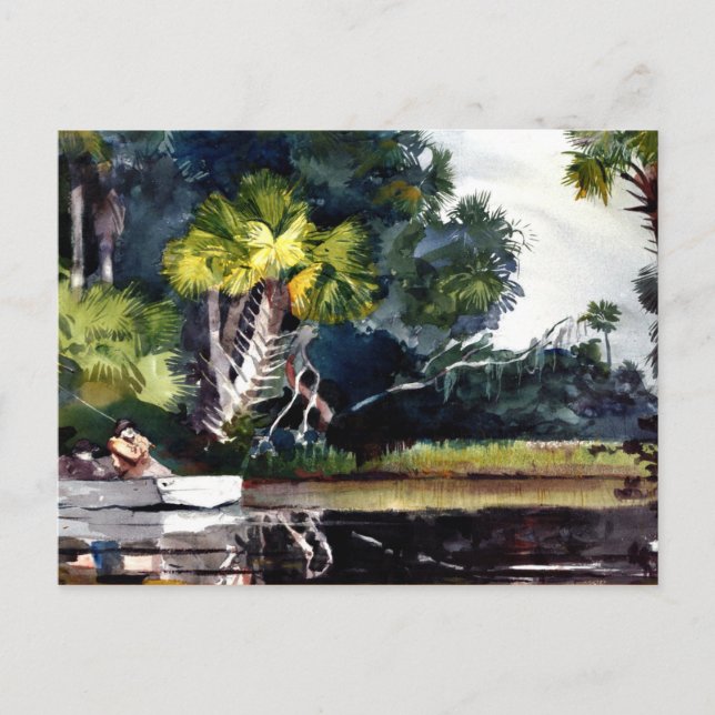 Homer - Homosassa Jungle Postcard (Front)