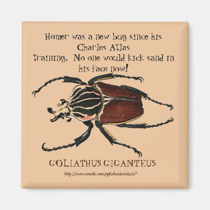 "Homer, the Goliath Beetle" Magnet