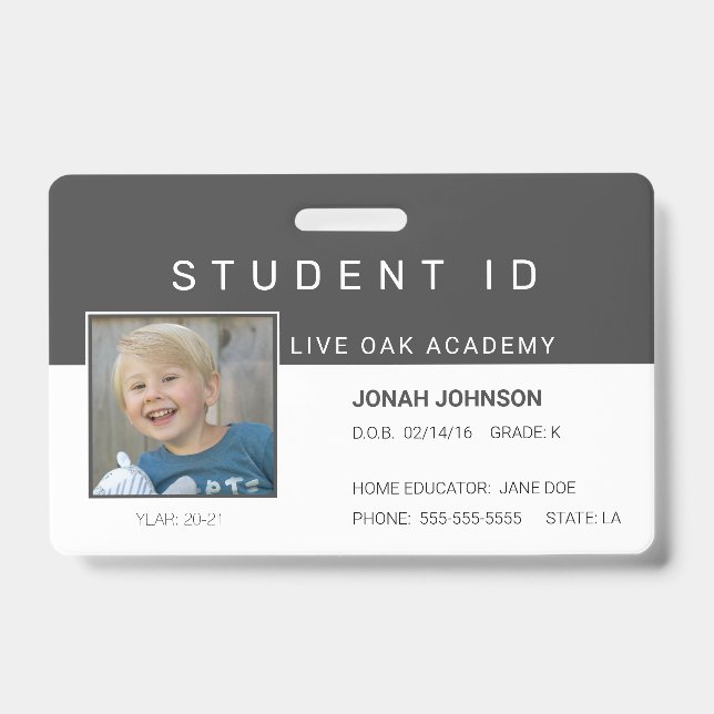 Homeschool Student ID Badge | Paper Aeroplanes (Front)