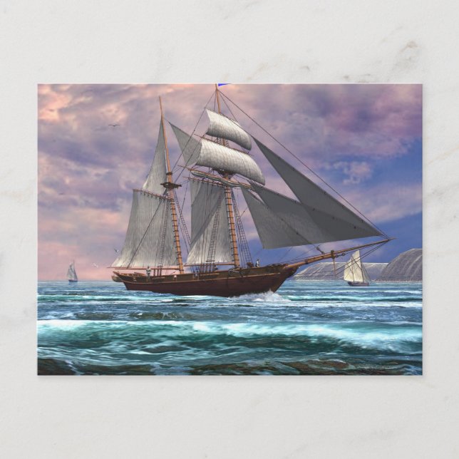 homeward bound postcard (Front)