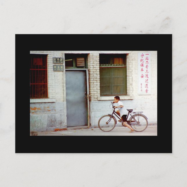 Homeward Bound Postcard (Front)