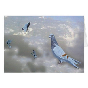 Homing Pidgeons Birds Card