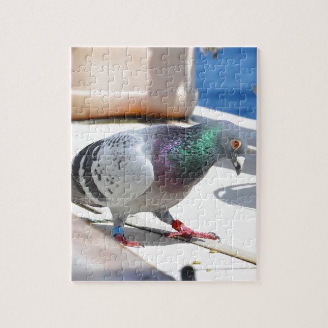 Homing Pigeon On A Yacht Jigsaw Puzzle (Vertical)
