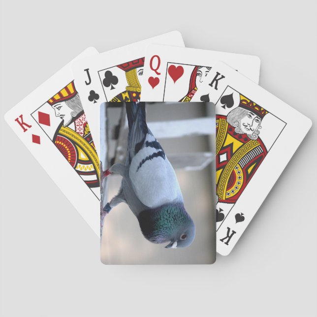Homing Pigeon on the Loft Playing Cards (Back)