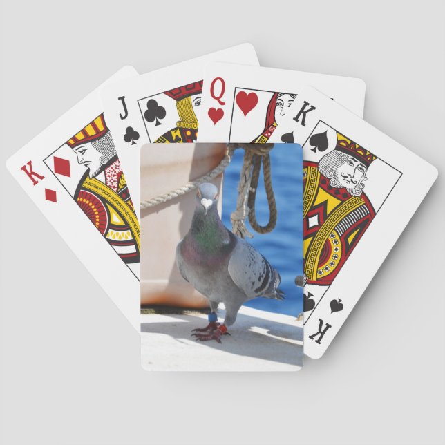 Homing Pigeon Playing Cards (Back)