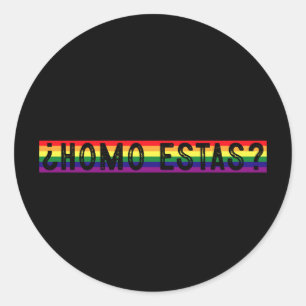 Homo Estas Spanish Mexican Gay Pride LGBTQ Month Classic Round Sticker