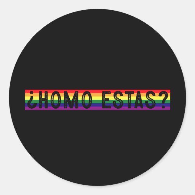 Homo Estas Spanish Mexican Gay Pride LGBTQ Month  Classic Round Sticker (Front)