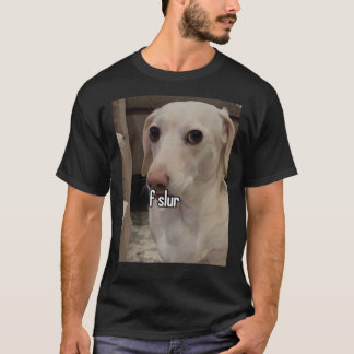 Homophobic Dog F Slur!  T-Shirt