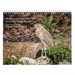 Homosassa Springs Wildlife Park 2026 Calendar