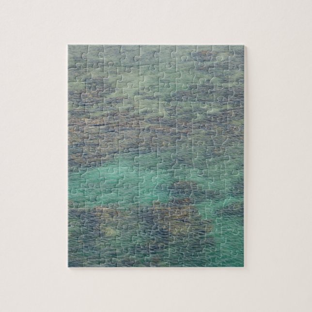 Honduras Coral Reef  - hard  Jigsaw Puzzle (Vertical)