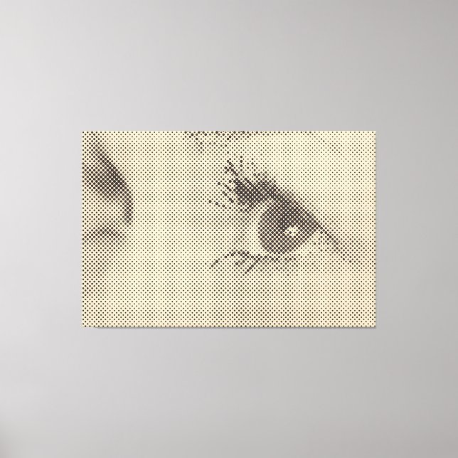 Honest Black&Salmon Halftone Effect Female Glance Canvas Print (Front)