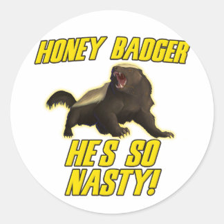 Honey Badger He's So Nasty Classic Round Sticker