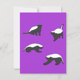 Honey Badgers Postcard
