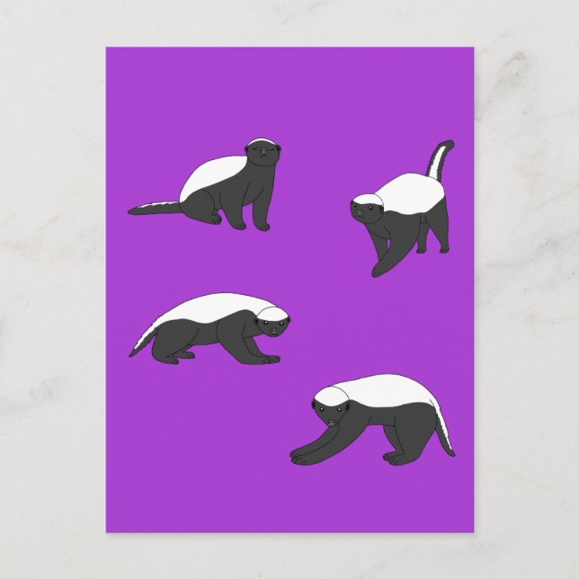 Honey Badgers Postcard (Front)