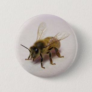 Honey bee 6 cm round badge